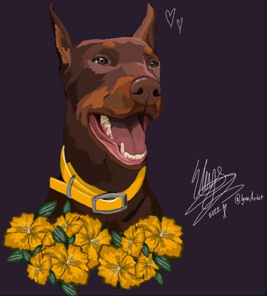 Pet - Commissions